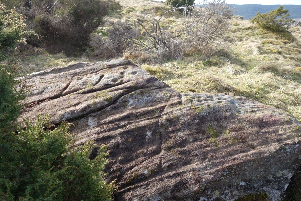 Recording some prehistoric rock art panels at Bailemore, Pityoulish yesterday. Cup marks showing up well in natural light.