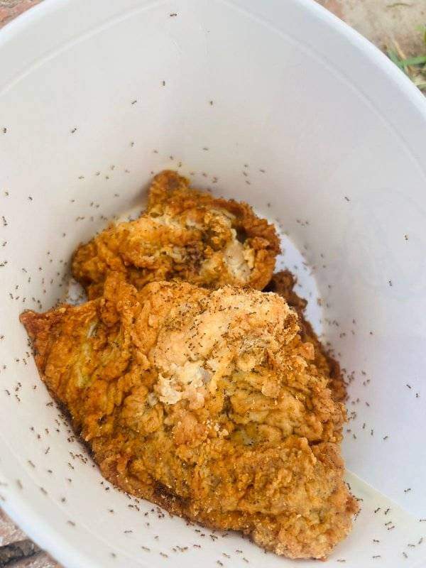 ItsTheReal_BizZ's tweet photo. Are you digging in or throwing it away? https://t.co/XS5pOjQ9Ol
