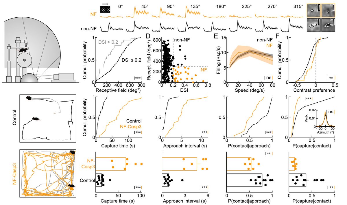 Daniel Kerschensteiner tweet media
