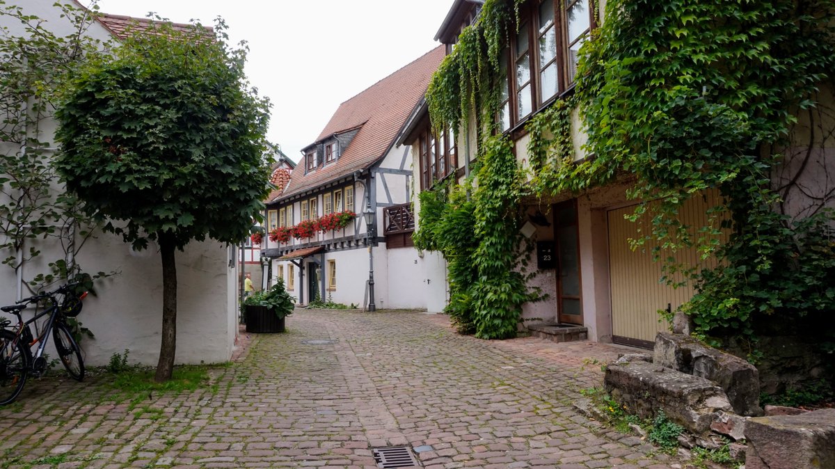 UCKronenberg tweet picture