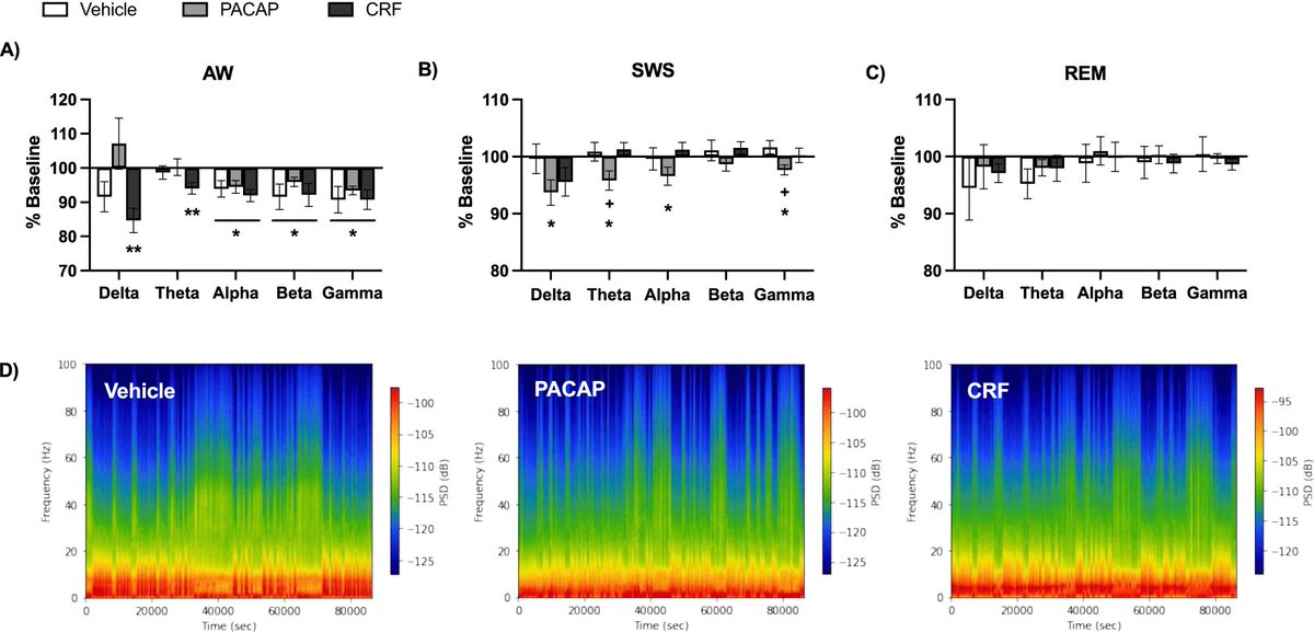 🚨Check out the newest @dpn_journal article from @allisonfoilb & colleagues in the Carlezon Lab @AtSpared @McLeanHospital: Differential effects of the stress peptides PACAP and CRF on sleep architecture and other translationally-relevant endpoints in mice nature.com/articles/s4427…