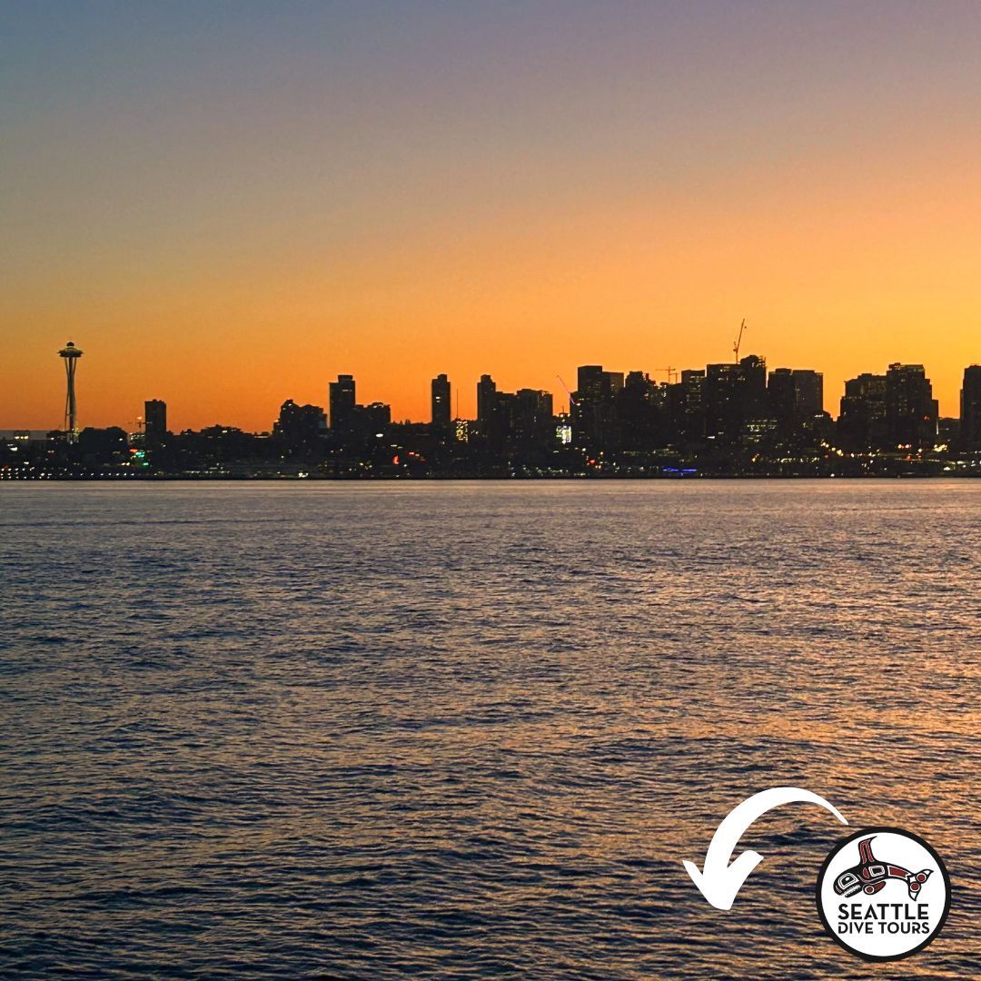 Sometimes starting early has its benefits.
Every sunrise is great but sometimes we get a fantastic one and remember to take a photo!

Come join us early mornings this summer and let's talk diving!

Photo: Drew Marlar