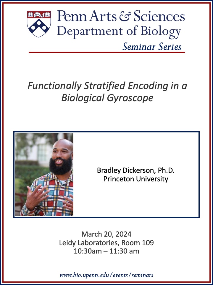 .@PennBiology is excited to have Dr Bradley Dickerson share his research about a 'Functionally stratified encoding in a biological gyroscope' with us Wed, Mar 20, at 10:30 AM EST. Watch for free via zoom, link below! bio.upenn.edu/events/2024/03…