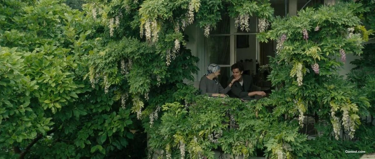 TheCinesthetic's tweet photo. One Day (2011) dir. Lone Scherfig https://t.co/Bl784sMi55