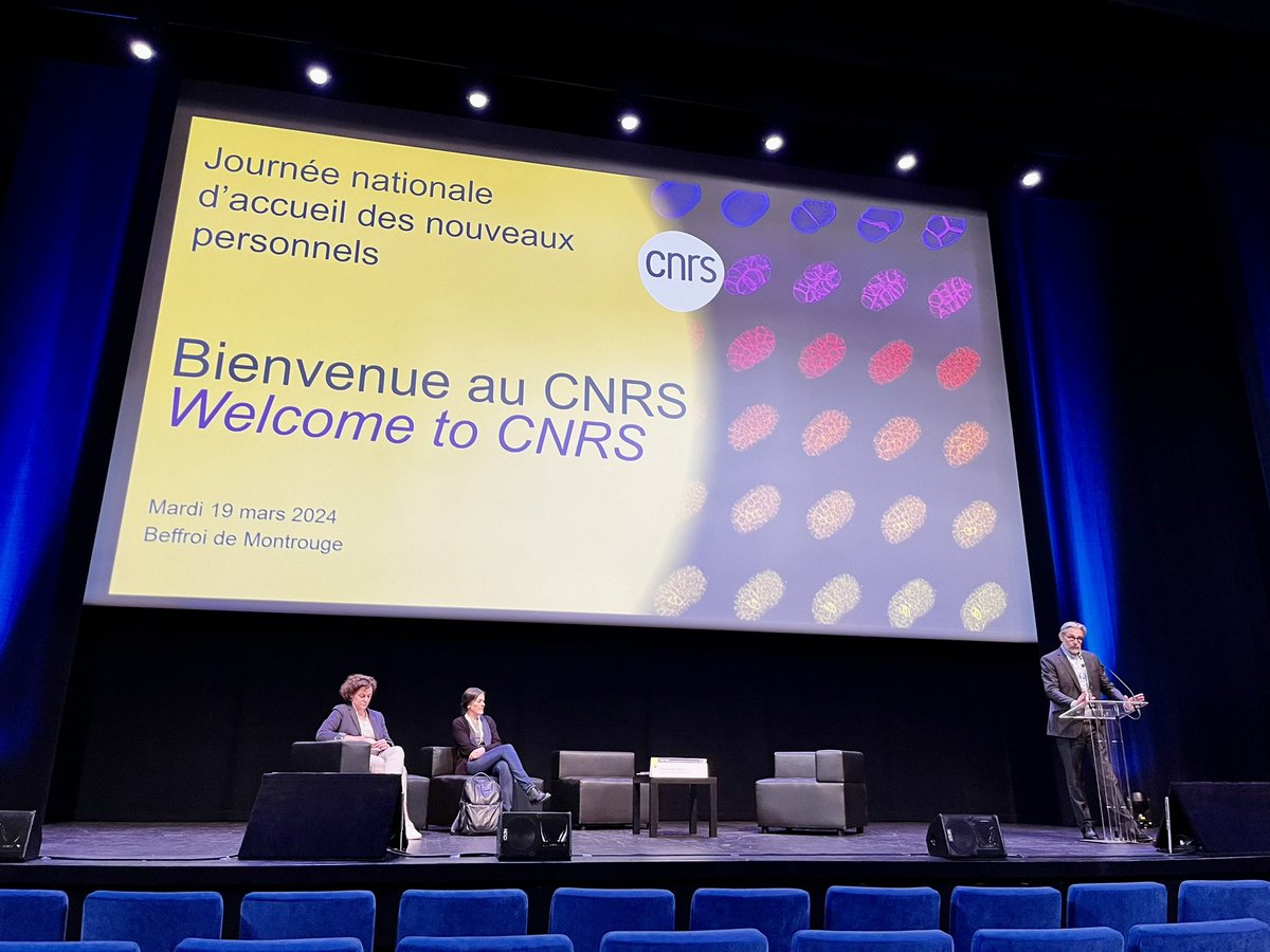 Séverine L.D. Toussaint tweet media