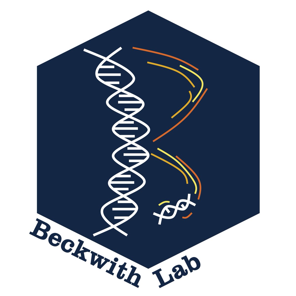 Thrilled to share that I will be joining the Biology Department <a href="/HopeCollege/">Hope College</a> as an Assistant Professor in July 2024!  Excited to pursue my teaching and research at a beautiful liberal arts college by Lake Michigan.  The Beckwith Lab will investigate #transposons using #yeast.