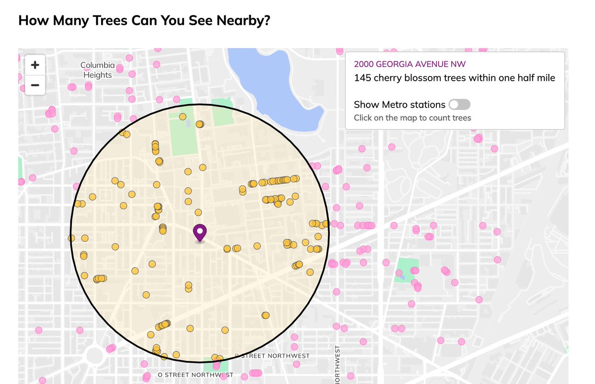 🌸A new little project: Maps, math, and musings on cherry blossom peak bloom and finding joy in the flowers close to home, without the crowds. hrecht.com/cherry-blossom…