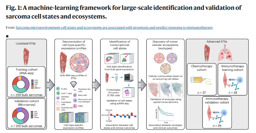 ✨ONLINE NOW @NatureCancer “Sarcoma microenvironment cell states and ecosystems are associated with prognosis and predict response to immunotherapy” #immunotherapy nature.com/articles/s4301…