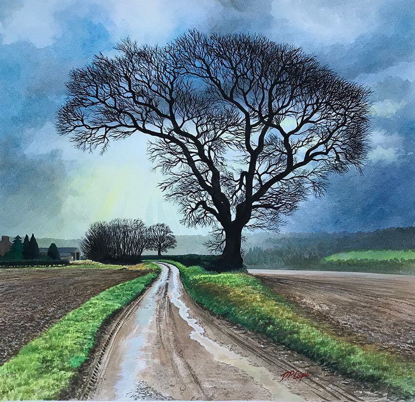 Howardian Tree Artist

David Cooper