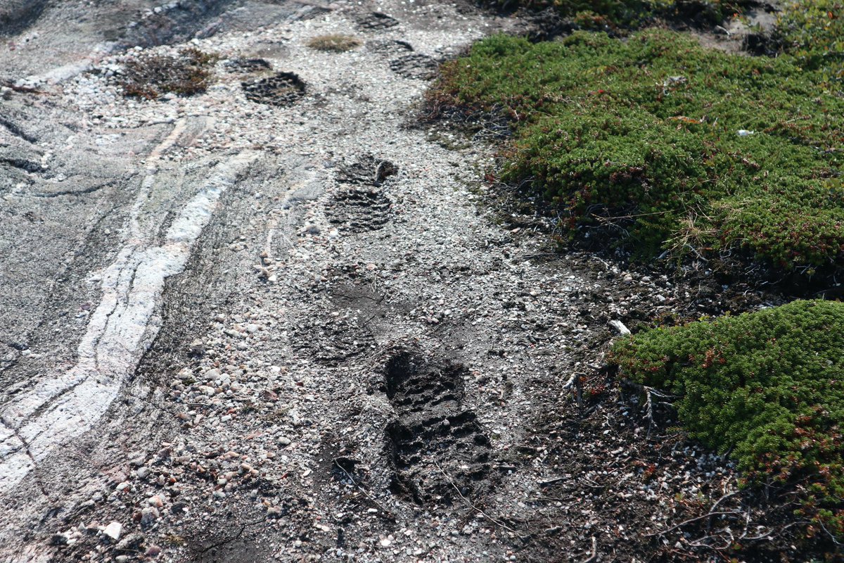 “Take nothing but pictures and leave nothing but footprints “. #hiking #WILD40YEARS