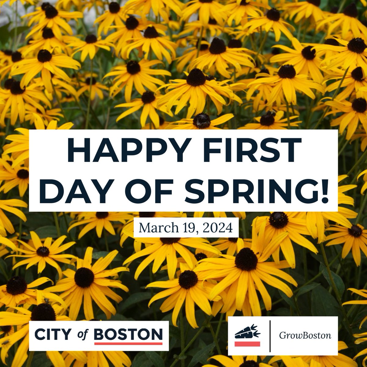 Happy first day of Spring from GrowBoston!
.
.
.
#growboston #urbanagriculture #firstdayofspring #spring #spring2024