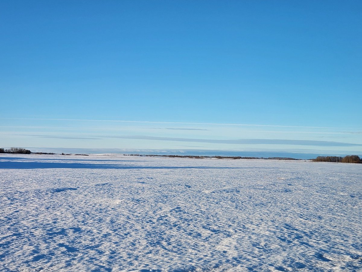 Knifed soybean stubble. Serious question: Do we have the most snow on the prairies? #seed24