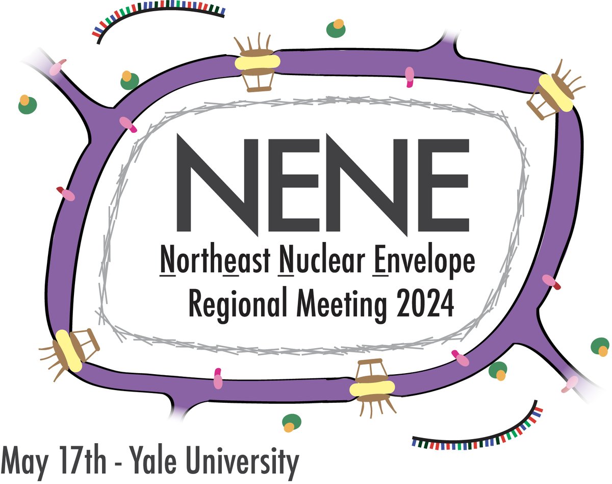 IT’S BACK! The Northeast Nuclear Envelope Regional Meeting (NENE) is May 17th at Yale University 📢 Come for all things nuclear biology ~ with keynote by @abbybuch! Learn more and register here: sites.google.com/view/nene2024/… Abstract submissions DUE April 5th ✨