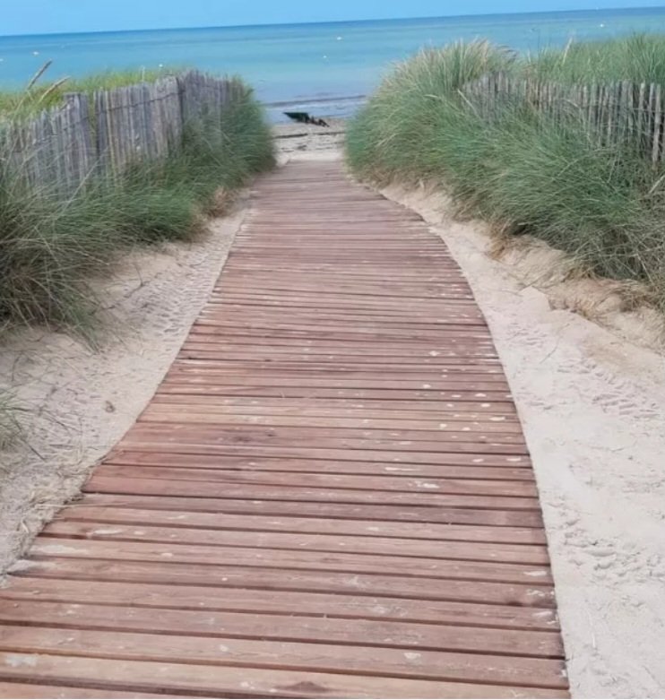 ColmColgan's tweet image. As well as beach matting, roll out wooden decking is also available for Irish beaches from Bailieboro Supplies. 
hippocampe-ireland.ie