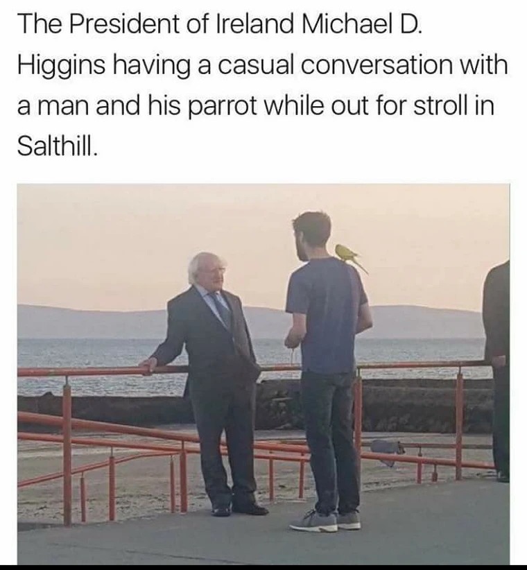 FontusDigital's tweet image. Over the weekend people were honouring St Patrick. We'd also like to honour another Irish legend, Michael D Higgins. If this man was any cooler, you'd be having him in your G&amp;amp;T #irishlegend #michaeldhiggins