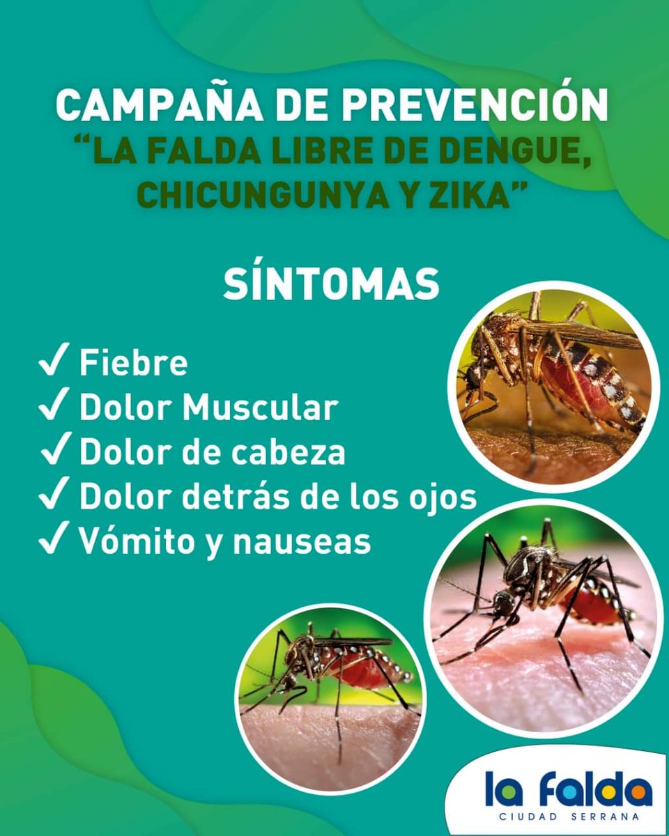 DiemingerJavier's tweet image. ✅ Campaña de Prevención "La Falda libre de Dengue, Zika y Chikungunya".

Se les recuerda a los vecinos los métodos de prevención y cuáles son los posibles síntomas a tener en cuenta.