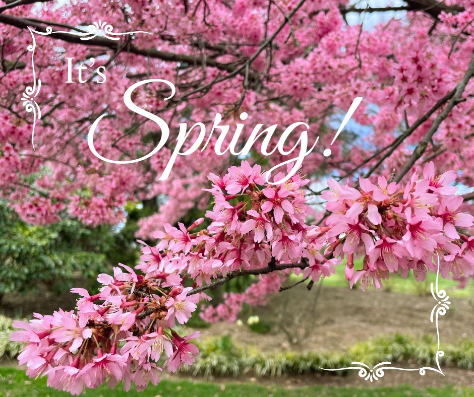 'It is spring again. The earth is like a child that knows poems by heart.' — Rainer Maria Rilke #HersheyPA #hersheygardens #spring #FirstDayOfSpring #SpringEquinox #springtime #spring2024 #FirstdayofSpring2024 #springishere #welcomespring #hellospring