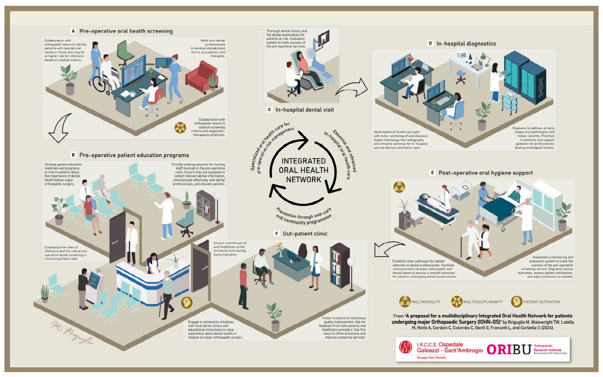 Great to collaborate with @BriguglioMatteo & Italian colleagues again. Just published -> An aspirational 'Proposal for a Multidisciplinary Integrated Oral Health Network for Patients Undergoing Major Orthopaedic Surgery' mdpi.com/2719470 via @Geriatrics_MDPI