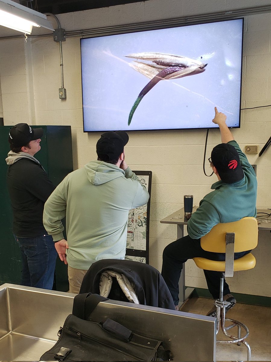 Seed/germination lab. @DTMturfgrass @UofGuelph