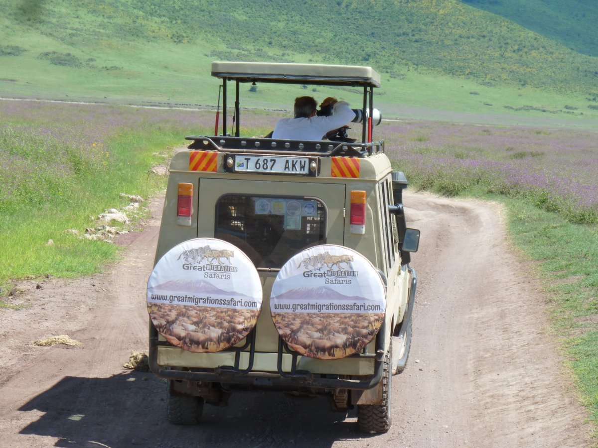 sgreatmigration's tweet photo. Welcome to the heart of the wilderness with Great Migration Safaris! 🌿 Our dedicated guides ensure every moment is filled with discovery and excitement. Reserve your spot today and indulge in unparalleled hospitality! #WildlifeAdventure #KnowledgeableGuides #SafariLuxury https://t.co/ZrkXZxaTF8