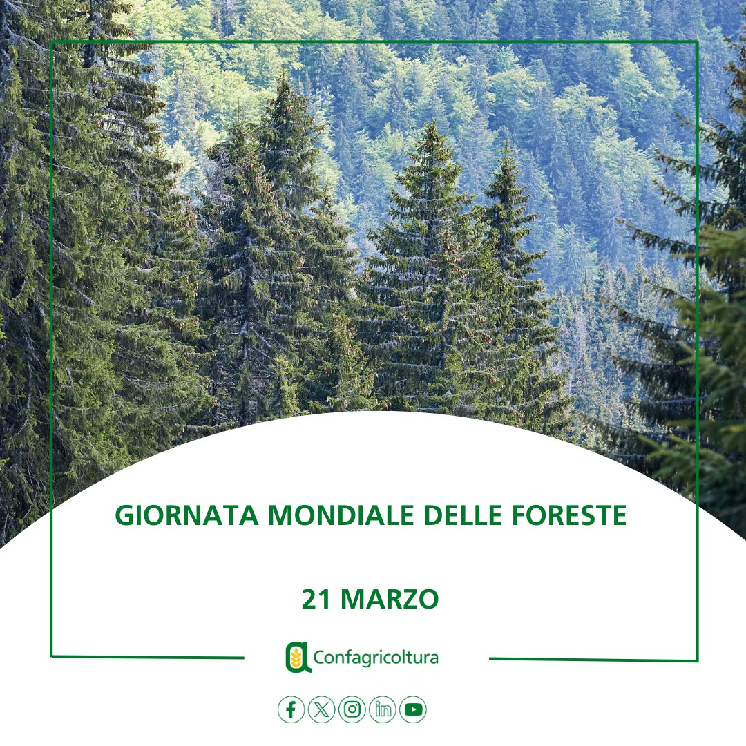 Confagricoltura tweet media