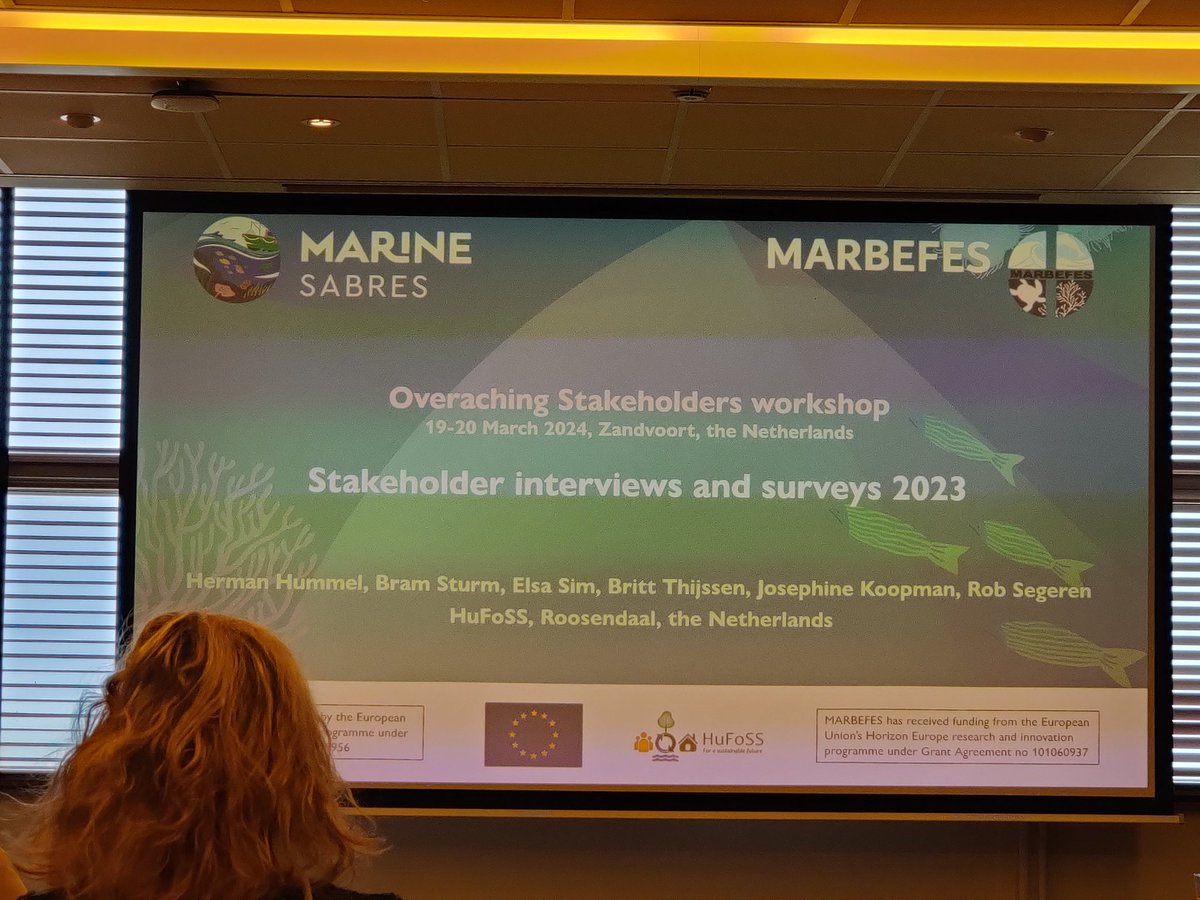 I am in beautiful Zandvoort 🇳🇱 for the @marbefes & @MarineSABRES joint workshop. I have been selected as the Overarching Stakeholder for Dublin Bay & these two days will inform what my role will be until 2026. I'm looking forward to getting started! 🌊