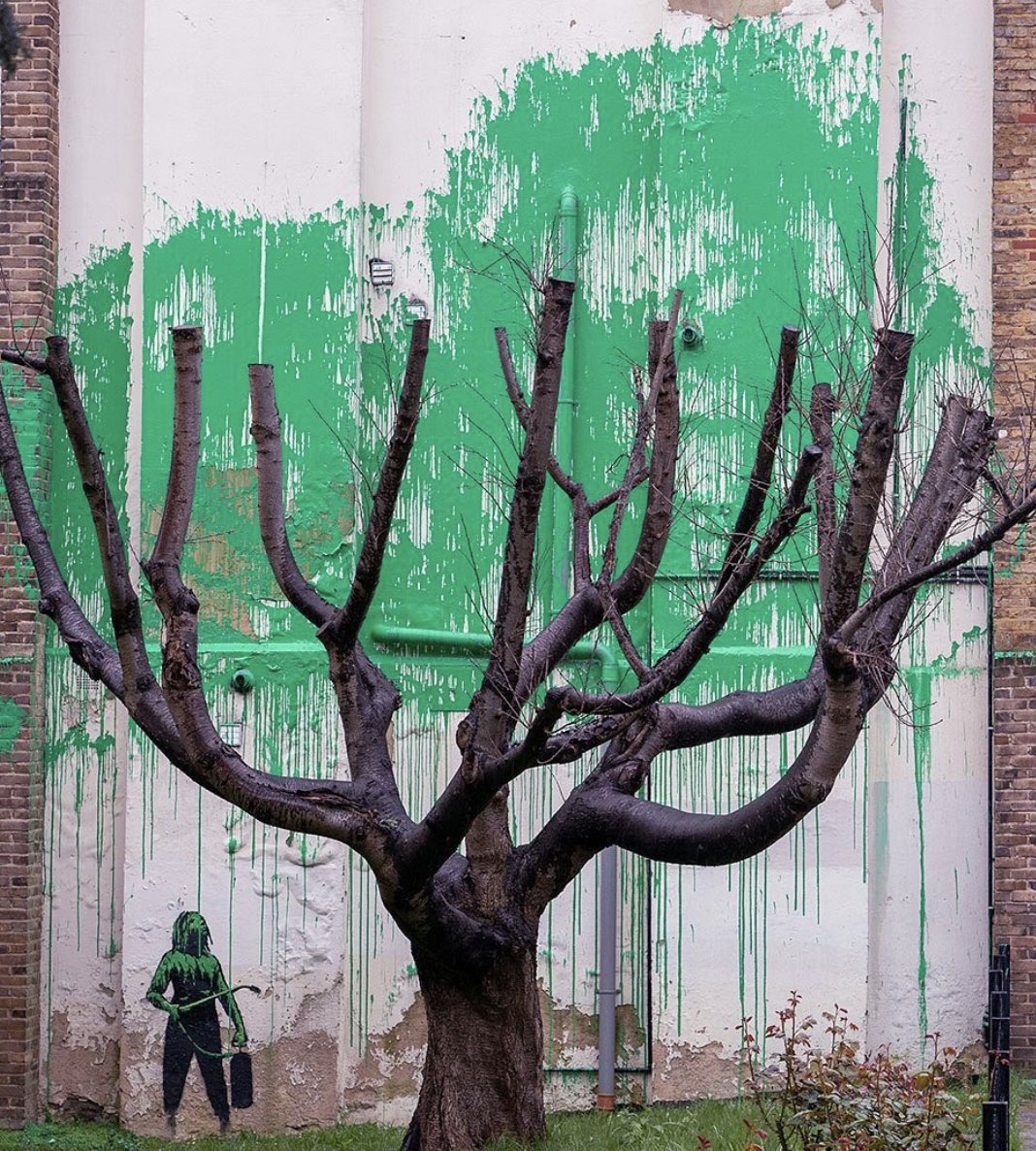 A #Banksy tree grows in North London. juxtapoz.com/news/street-ar…