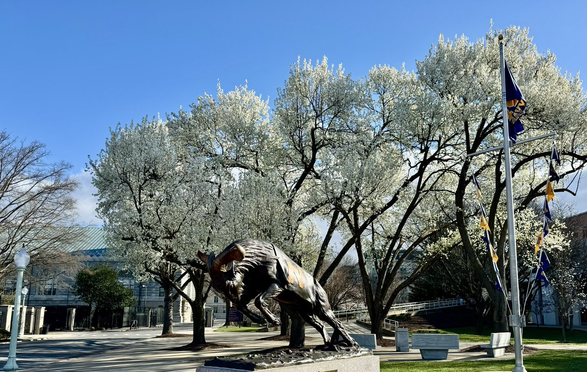 Happy 1️⃣st day of Spring! 📍Annapolis, MD 🌸🌸🌸🐐🐐🐐 #GoNavy | #LetsFly25