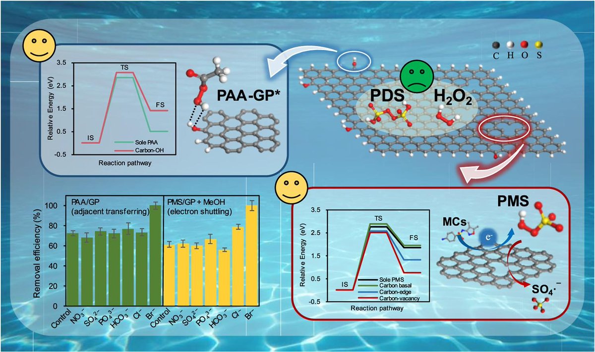 Editor's Choice: Exploring the electron transfer regime occurring in peroxides activation by graphite: Origin, mechanism and efficiency in complicated water matrices (Tian et al., Xi'an University of Architecture and Technology) sciencedirect.com/science/articl…