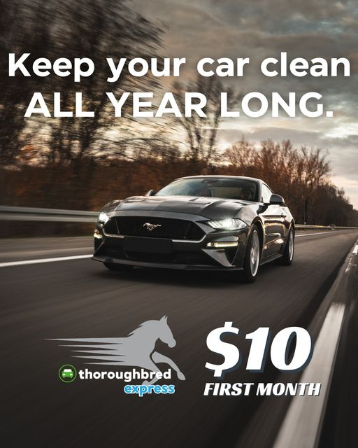 ThoroughbredIN's tweet photo. Don't miss the chance to fulfill your resolution of keeping your car clean throughout the year with a monthly membership from Thoroughbred Express! https://t.co/yt5TGpH1XG