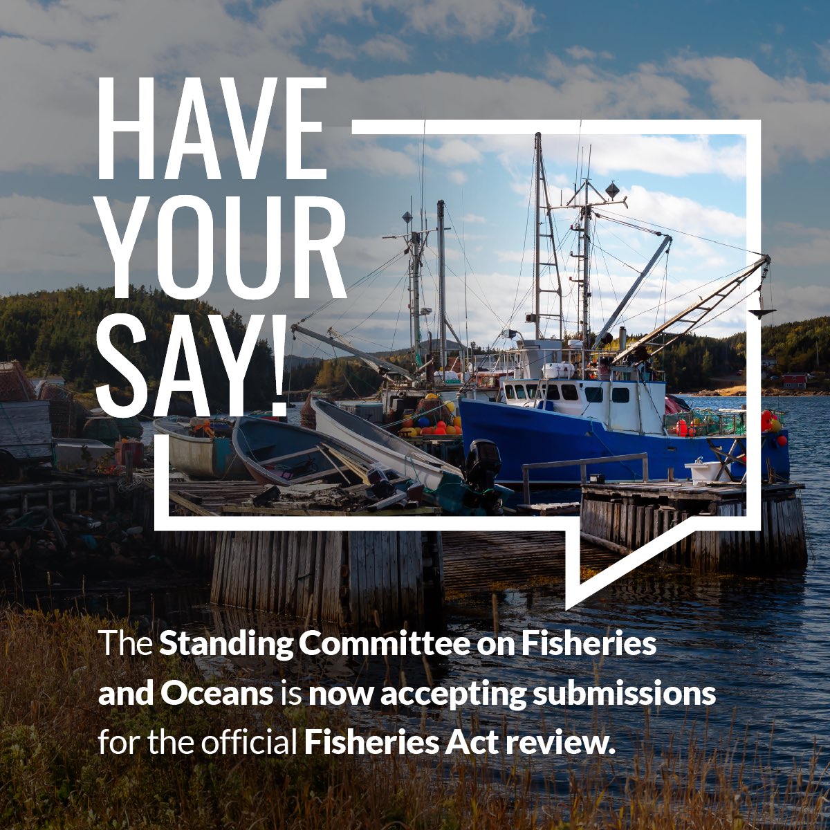 Diane Lebouthillier (@dilebouthillier) on Twitter photo Liberals will always work hard to advocate for our fishing communities.
I'm pleased that the House of Commons Standing Committee on Fisheries and Oceans recently adopted Liberal MP <a href="/MorrisseyEgmont/">Robert Morrissey</a>’s motion to open the official five-year review of the #FisheriesAct. Liberals will always work hard to advocate for our fishing communities.
I'm pleased that the House of Commons Standing Committee on Fisheries and Oceans recently adopted Liberal MP <a href="/MorrisseyEgmont/">Robert Morrissey</a>’s motion to open the official five-year review of the #FisheriesAct.