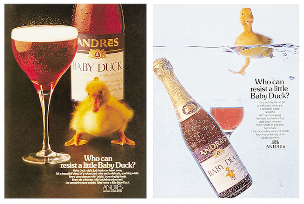 rickwine's tweet image. In 1973, 8 million bottles a year of Baby Duck quenched the thirsts of Canadians across the country. It's not quite as popular as it once was, but it's still quacking. Our story on Wines in Niagara 👉 bit.ly/BabyDucky