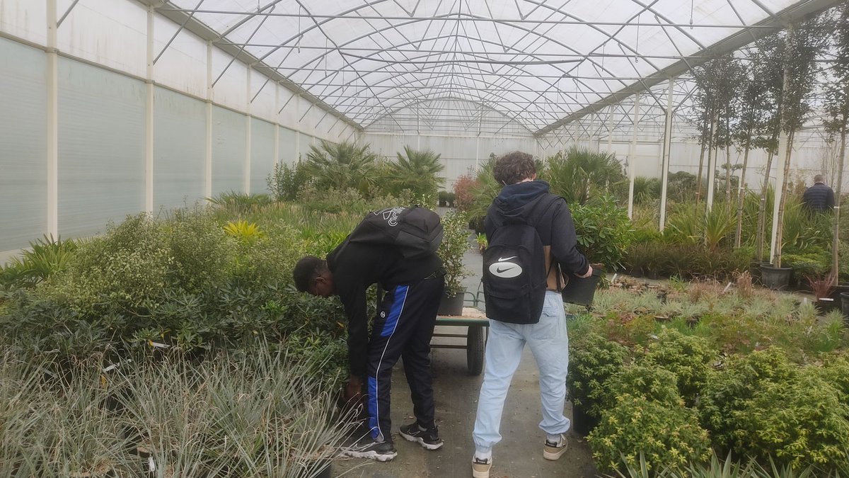 🌱🌿Visité ce jour avec la classe de CAPa1 des Pépinières Vincent Besnard à Romagne. Les élèves ont pu identifier les végétaux nécessaires à la réalisation du projet de jardin nourricier. #EducationAgri #Jardinage #CAPa1 #PépinièreBesnard