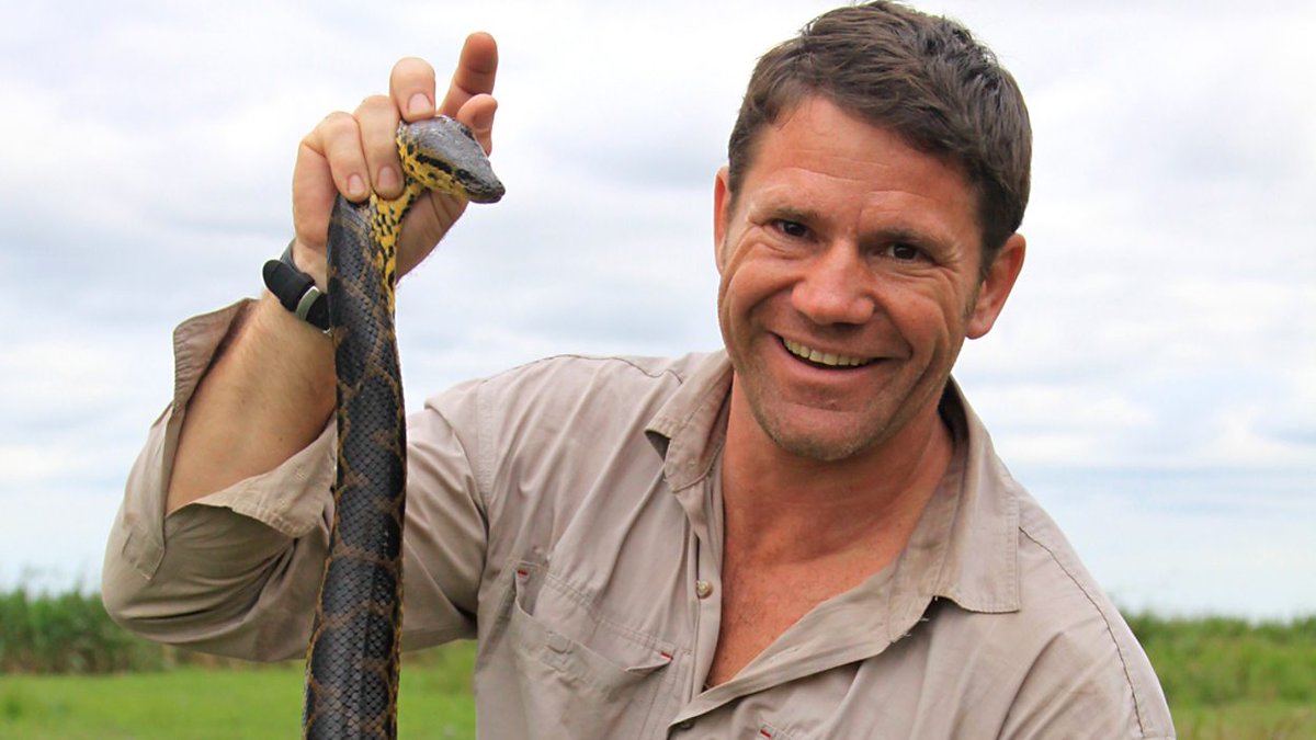 STEVE BACKSHALL LECTURE We have a limited number of free tickets available to watch a live streaming of Steve Backshall's lecture tommorrow (20/03/24) at 5.30pm in PL2 (Pontio). Tickets will be available at 3pm TODAY: shorturl.at/bcwWX