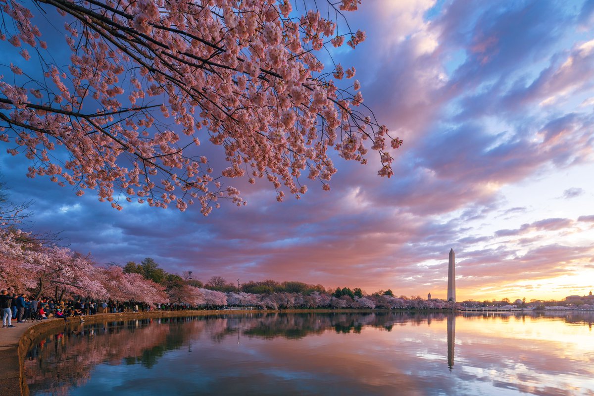 DC Innovate tweet media