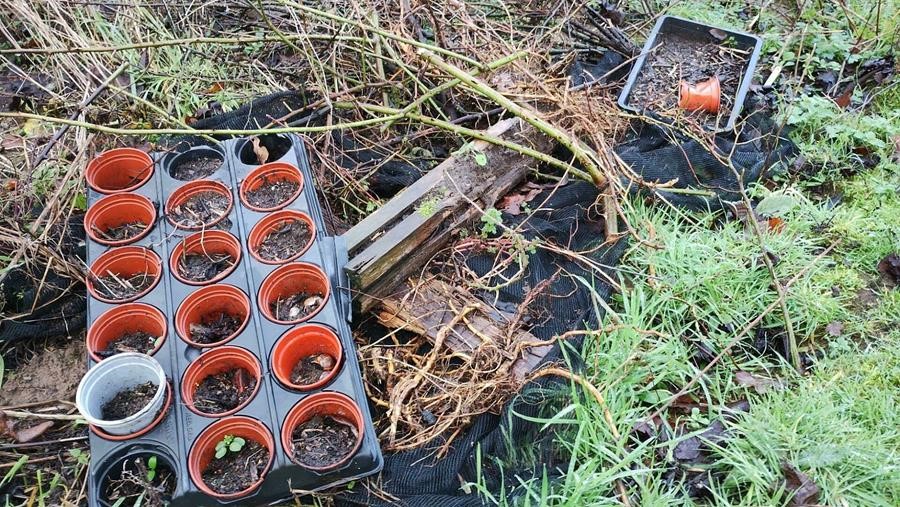CoventryCAWR's tweet photo. CAWR researchers are working with Garden Organic &amp; the public to investigate the issue of plastic contamination of soil, particularly where food is grown. We are conducting six regional workshops and a survey, which we would be grateful if you could share: https://t.co/KfJzBTt4OH https://t.co/C1qKITnT0t