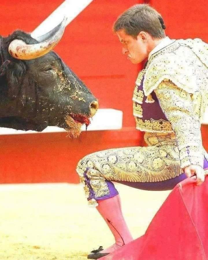 AdeaClaude's tweet photo. Tant d'amour dans le regard de cet animal et tant de haine dans ce pantin à paillettes 😡🤮💩 https://t.co/hEO8c0XEsH