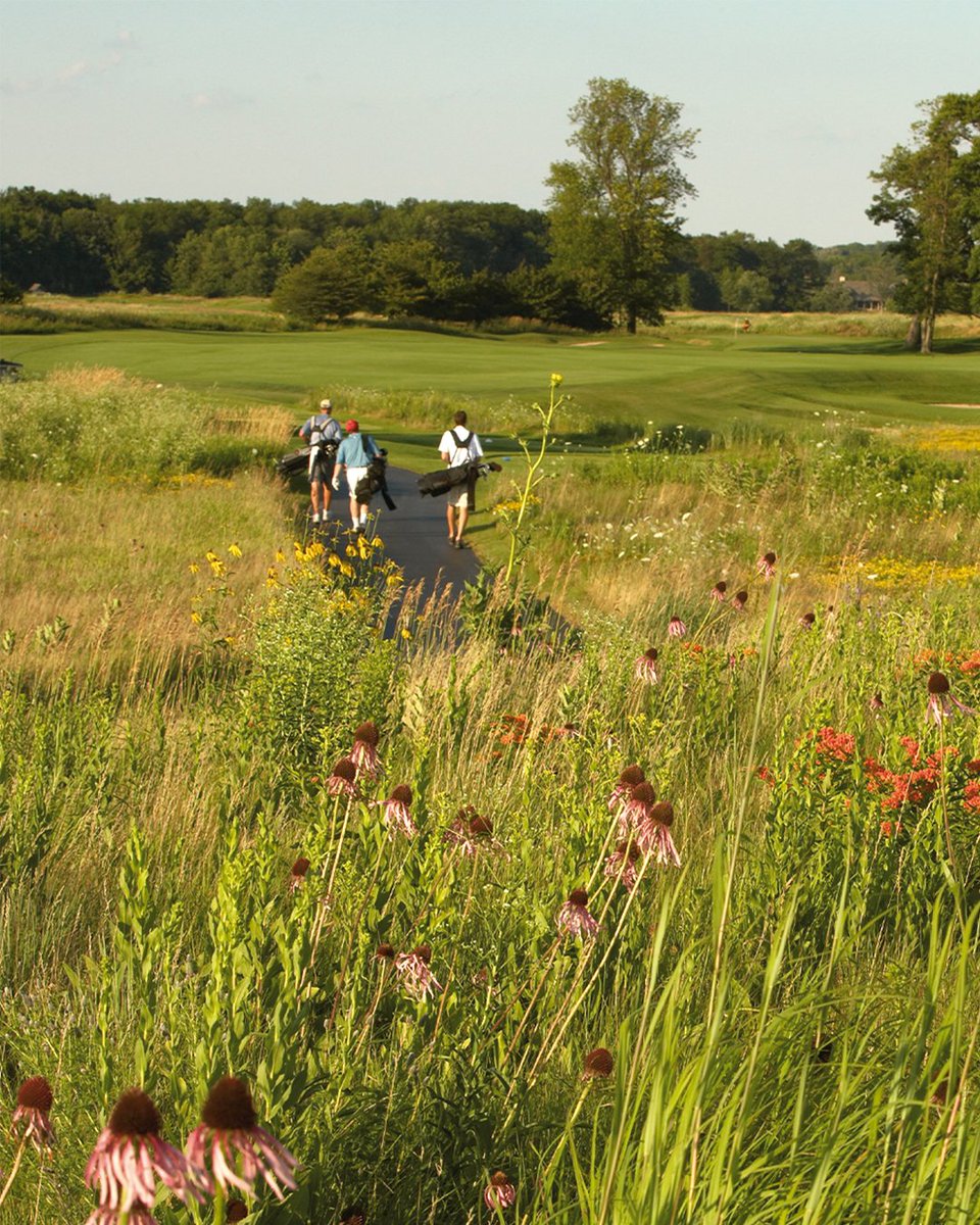 Spring is here... and that means that tee times are near  🌷⛳️ 

#GolfKohler #BlackwolfRun #SpringGolf #WisconsinGolf