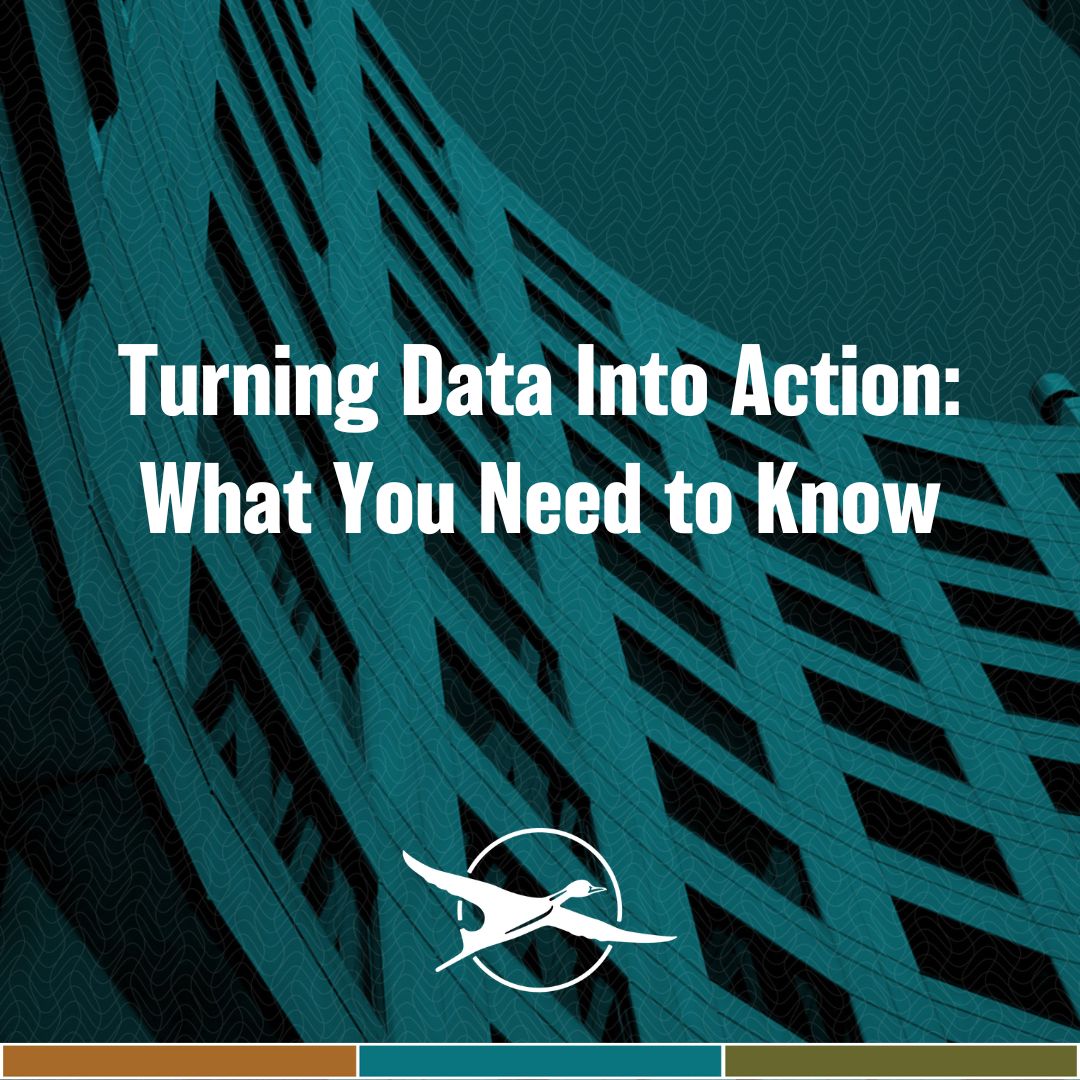 Pintail Solutions tweet media