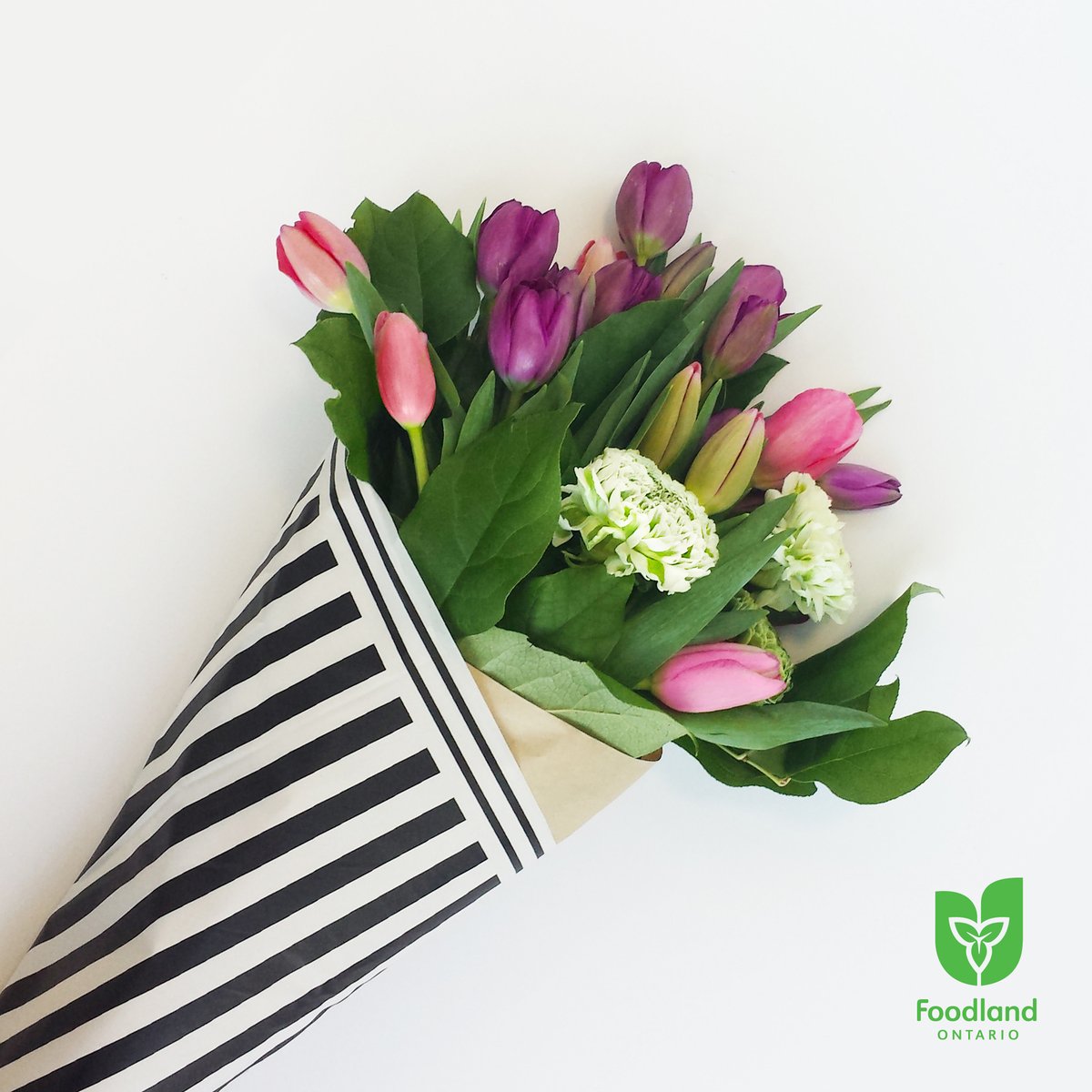 Happy first day of Spring! Celebrate the day by SPRING-ing into the season with a bouquet fresh Ontario Flowers. @PickOntario