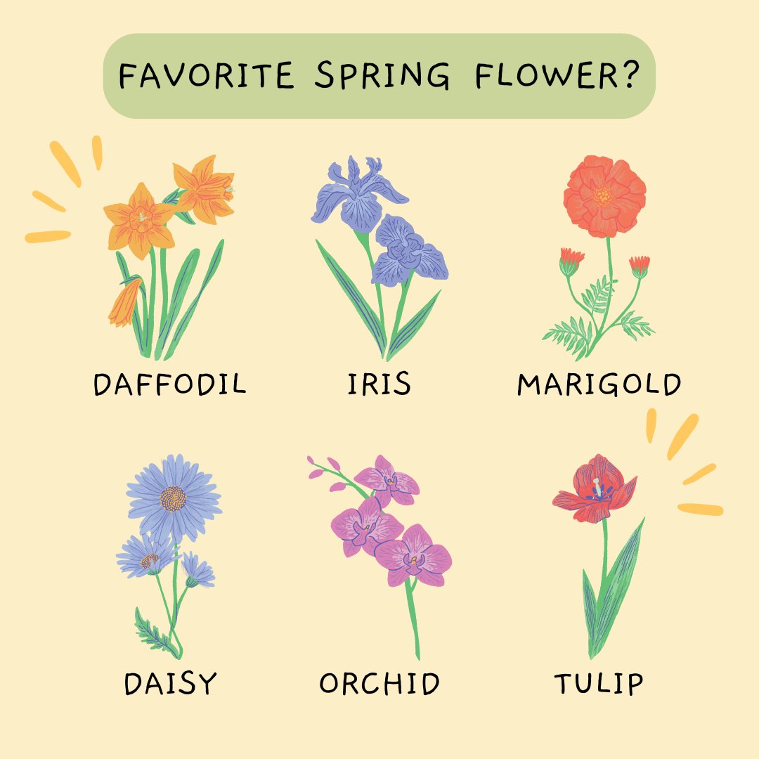 Spring season means lots of flowers are starting to bloom! 🌼🌱 Which flowers that bloom in spring are your favorite? 🌷✨ Comment it down below! 💐🌸 #trytheworld #ttw #spring #springflowers #springseason #flowers #flowersbloom #daffodil #iris #marigold #daisy #orchid #tulip