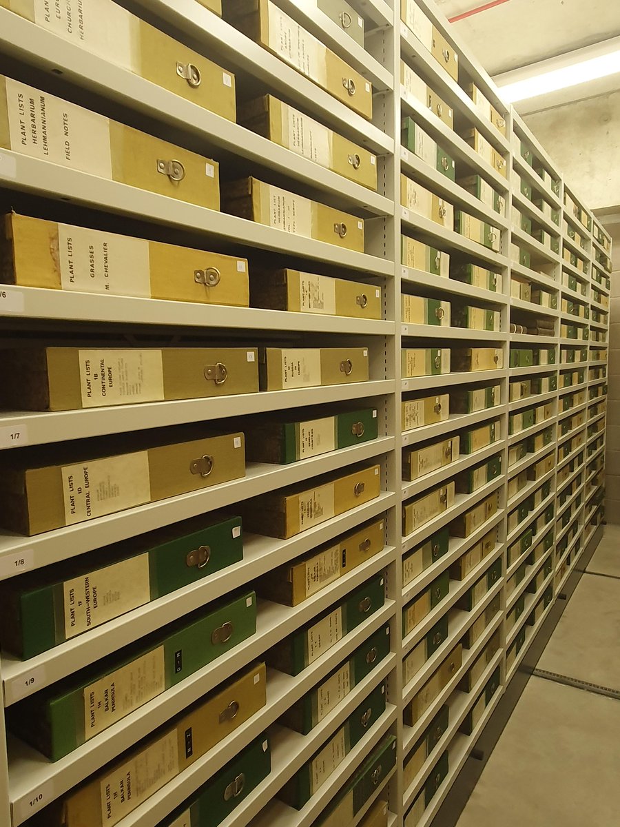 🚨 Archives Graduate Traineeship position Join our Archives team as a trainee and gain valuable experience pre-qualification! We're looking for an enthusiastic trainee to help with managing our collections and making them more accessible. Apply here: careers.kew.org/vacancy/archiv…