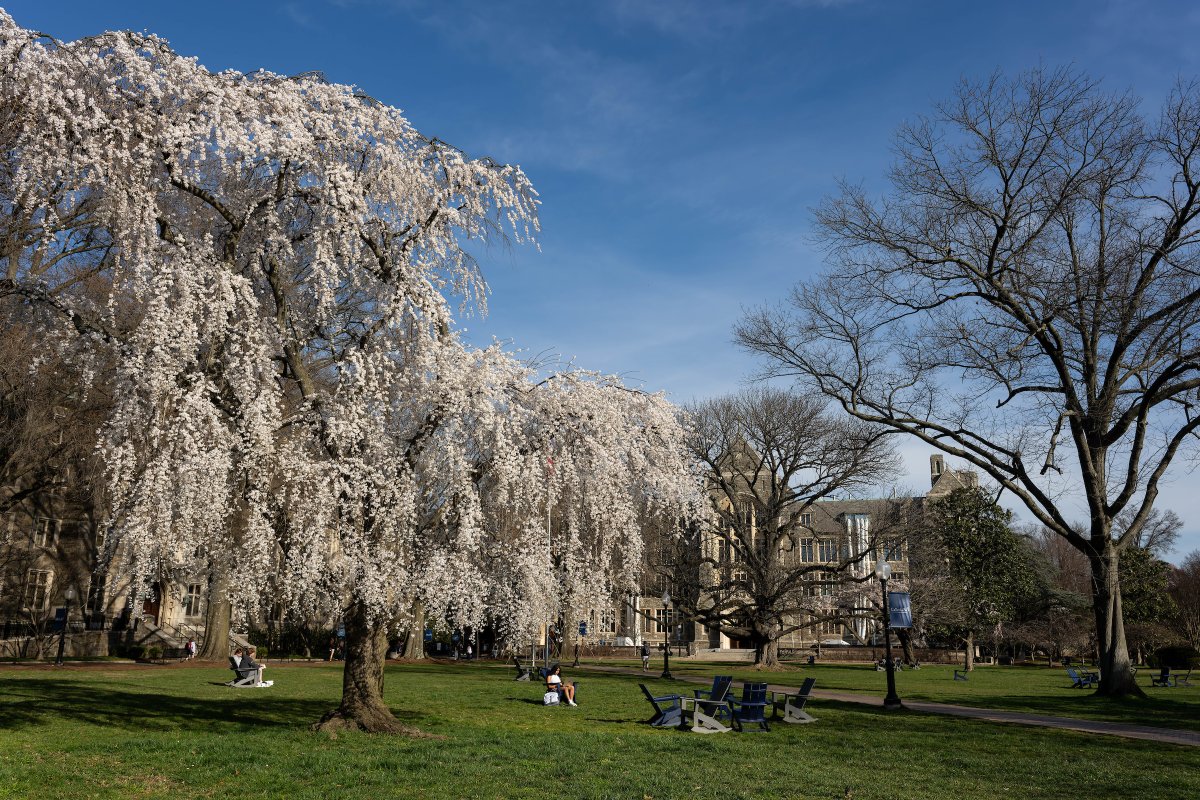 Happy first day of spring! Retweet this post if you're ready for warm weather days on Healy Lawn.