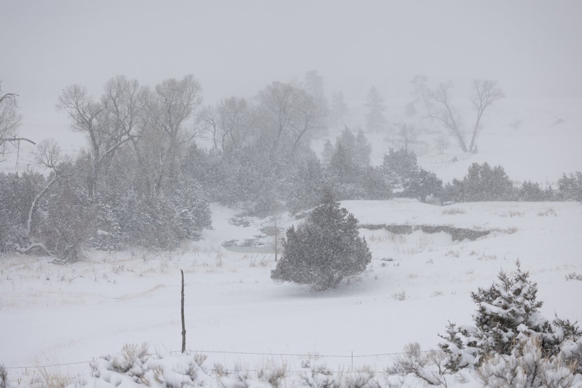 tim_daugherty's tweet photo. Just made my Montana travel plans for April.  Last time I went back in April this happened (April 12th, 2022).  Doing my part to help the snowpack!   #ReedPoint #Montana https://t.co/G3envcuM32