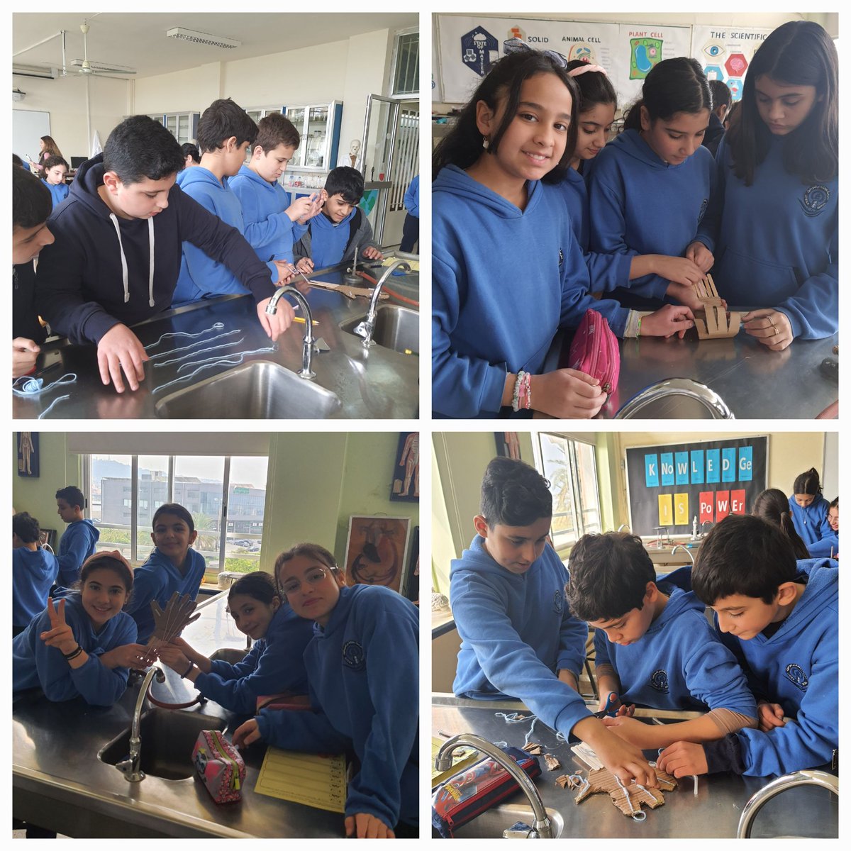 Dima_Chamieh's tweet photo. Assistive Hands built by our grade 6 students! #engineeringdesign

@NElakhdar @MakAishaSchool https://t.co/NTikO4CYQY