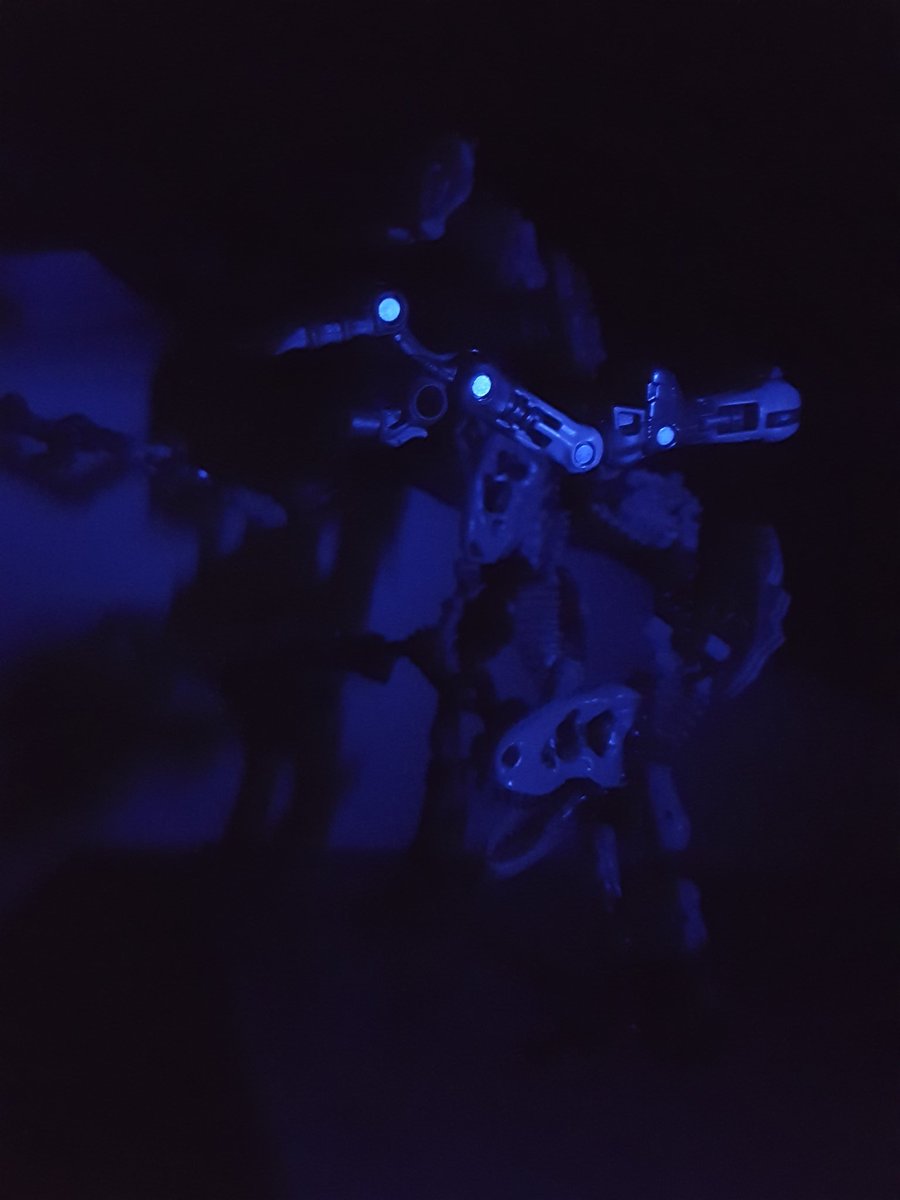 TheLocalBard's tweet photo. My favorite thing about Paleotrex from the War For Cybertron Kingdom toy line is that getting a bunch of him means more parts to make monsters.
#Transformers #Predacons #Paleotrex #ToyPhotography https://t.co/xawAMnQ2eN