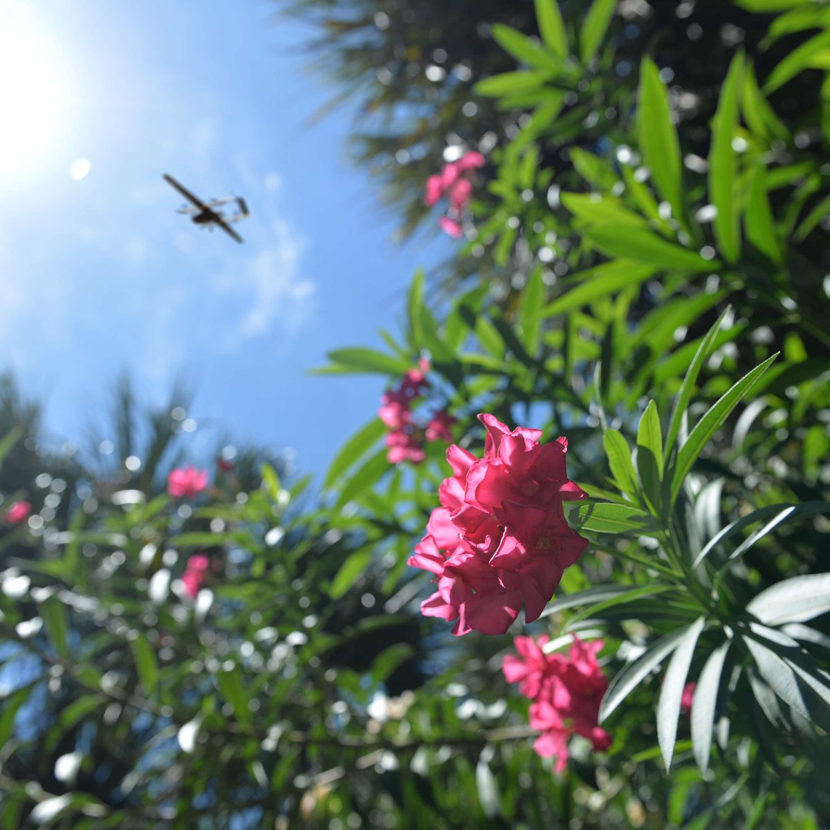 tamucc_ari's tweet photo. Spring has sprung, and so have our #drones! 🌻🚁🌷
#FirstDayofSpring #LSUASC #TAMUCC https://t.co/4sw2XoB2Ut