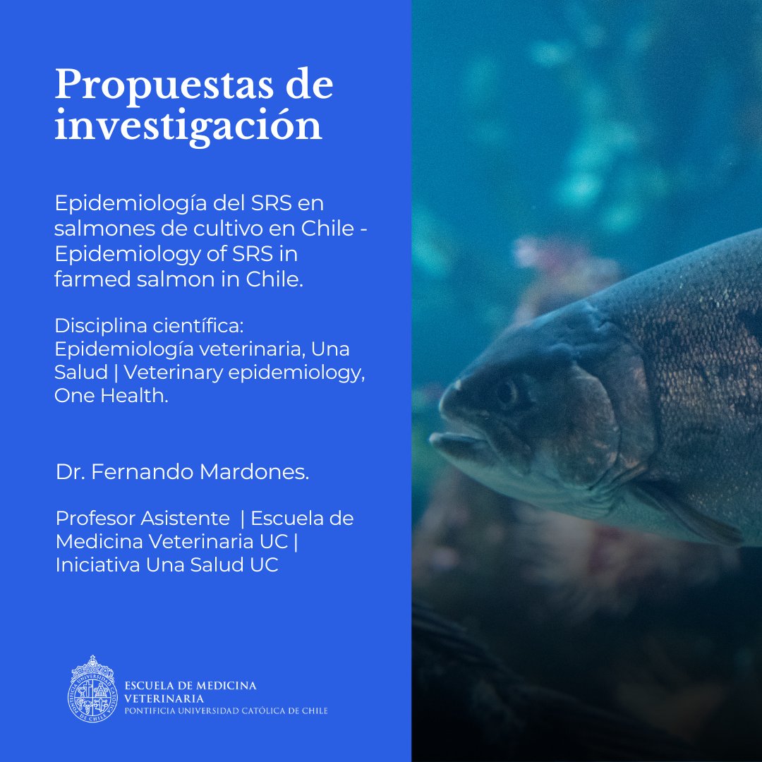 MedVetUC1's tweet photo. #POSTDOC 📣¡Atención! Nuestra Escuela @MedVetUC1  invita a personas recién iniciadas en investigación científica o tecnológica, con el grado de doctor y convoca a académicas y académicos interesados en patrocinar Proyectos Fondecyt Postdoctoral. https://t.co/nSgoYqBSiy https://t.co/Tn8k3TD96D