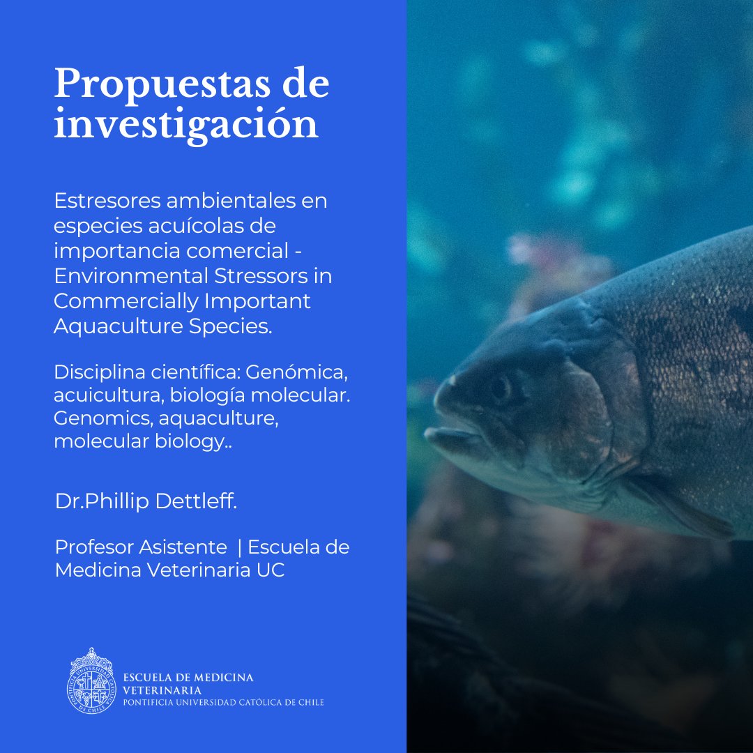 MedVetUC1's tweet photo. #POSTDOC 📣¡Atención! Nuestra Escuela @MedVetUC1  invita a personas recién iniciadas en investigación científica o tecnológica, con el grado de doctor y convoca a académicas y académicos interesados en patrocinar Proyectos Fondecyt Postdoctoral. https://t.co/nSgoYqBSiy https://t.co/Tn8k3TD96D