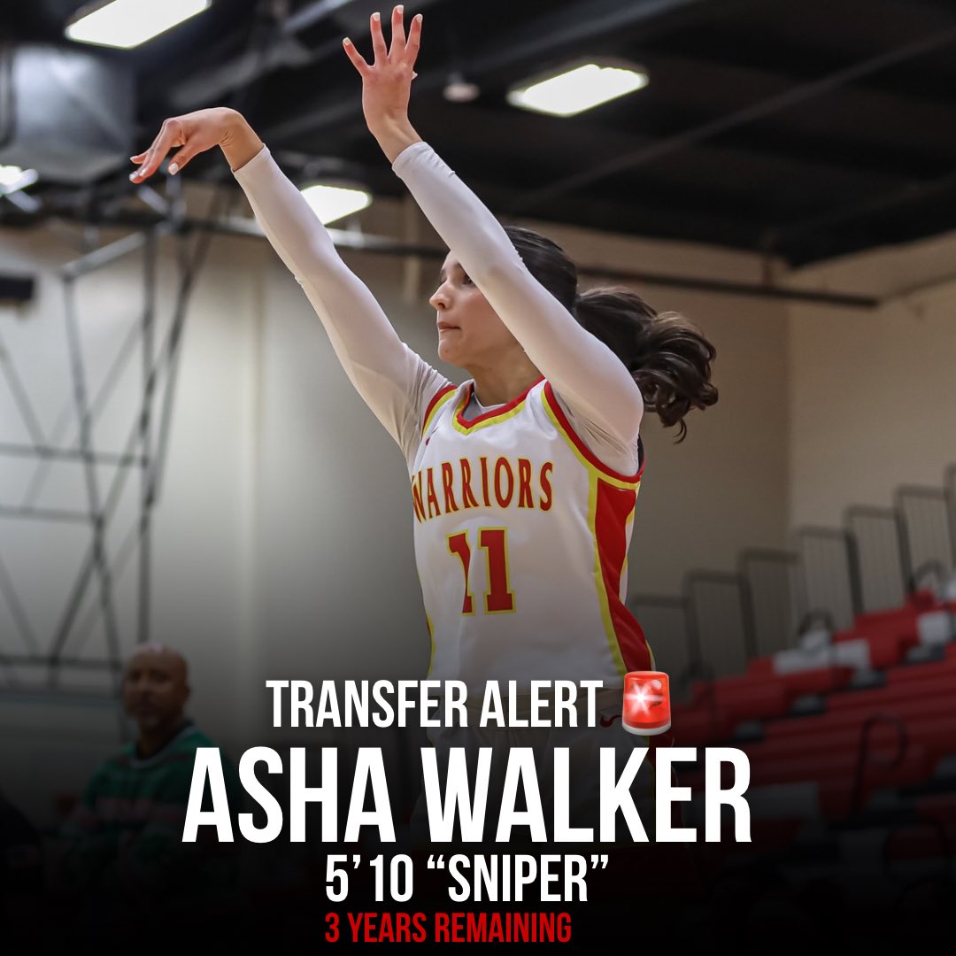 Caballaz2005's tweet photo. College Coaches 

I have a kid who just entered the portal. She can really shoot the ball very well.  35% from 3. 

Asha Walker (Stan State) 
5’10 - 3 years remaining https://t.co/sn9932wO7y